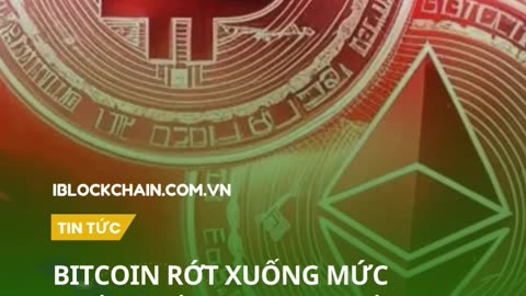 Bitcoin rớt xuống mức thấp nhất trong 3 tuần do ông Trump tái áp đặt thuế quan với Canada và Mexico