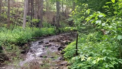 Monroe County, Tennessee June 14, 2014