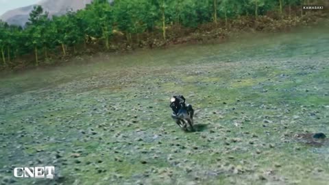 🤖✨ Watch the Future of Robotics Unveiled! | FeedMyCuriosity