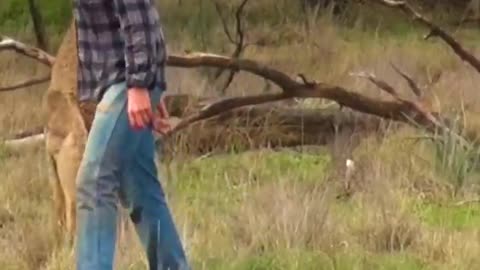 Man Rescues Dog From Fierce Kangaroo!