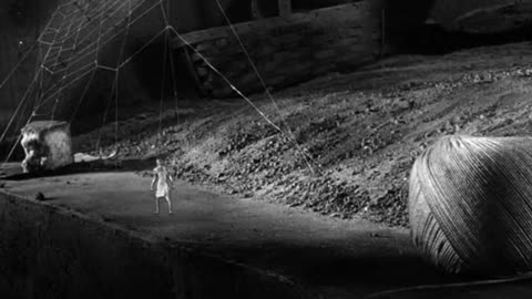 Lucha contra tarántula gigante | El increíble hombre menguante | 1957