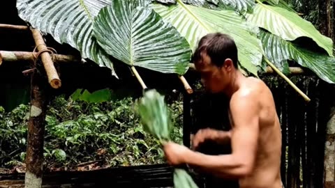 Primitive Technology