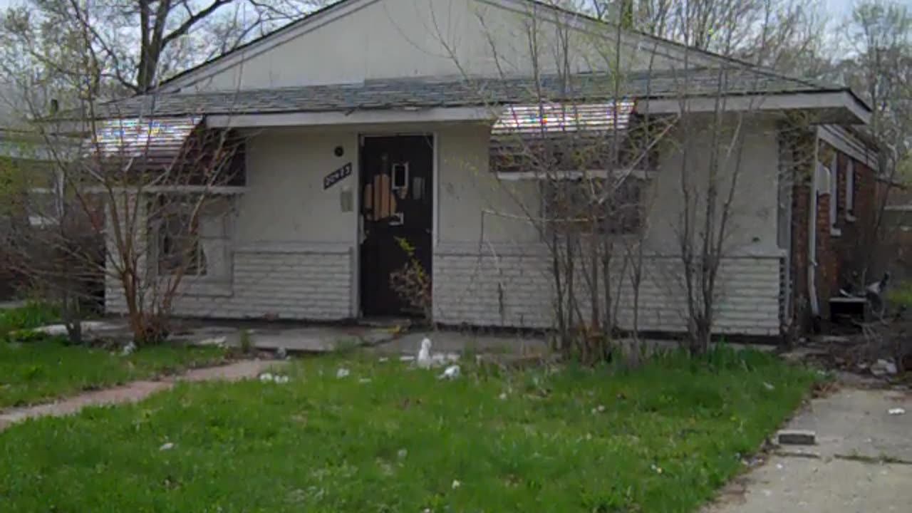 Ok gang, lets see what u learned, how much did u. shea show