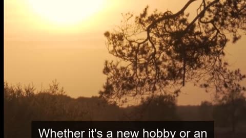 Daily Horoscope | Leo 🌟