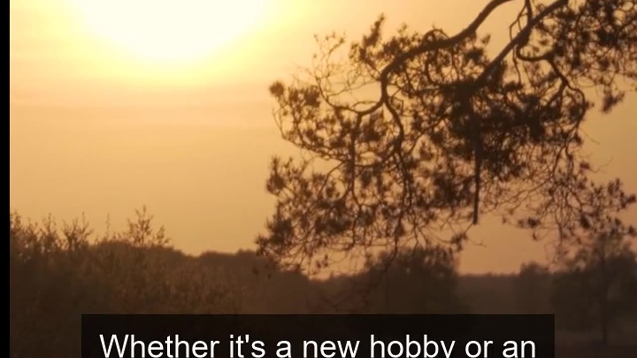 Daily Horoscope | Leo 🌟