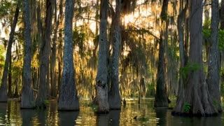 Shakedown Street Althea Friend Of The Devil The Grateful Dead