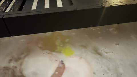 Peaceful Self-Care Bath Goes Wrong in Seconds