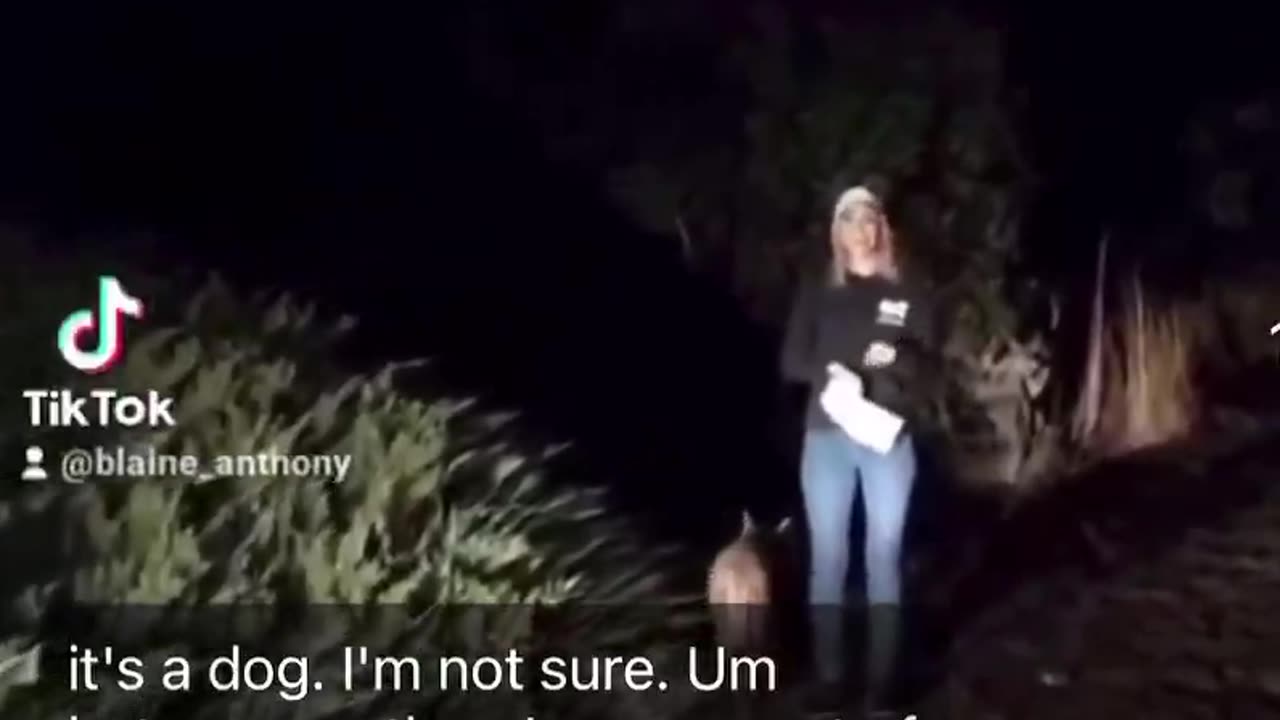 Reporter Not Recognizing a Mountain Lion Possibly Saved Her Life