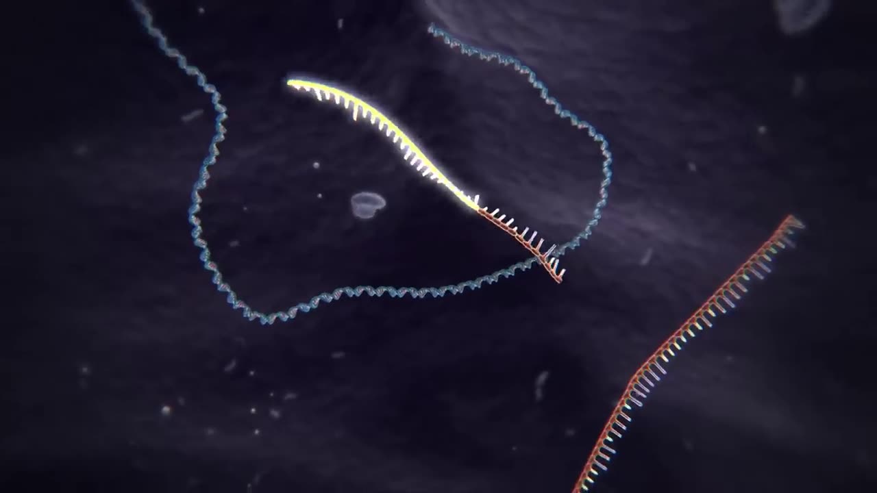 Genome Editing with CRISPR-Cas9