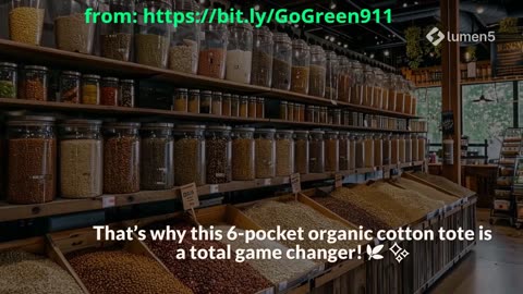 Bulk Shopping Mistakes to Avoid – Use This Genius 6-Pocket Tote Instead!