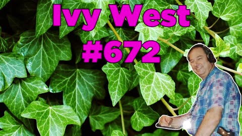 Ivy West #672 - Bill Cooper
