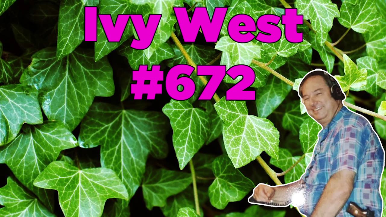 Ivy West #672 - Bill Cooper