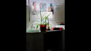 TIME AGAIN!!! To Put emphasis on the 91st PSALM (KJV). Amen.