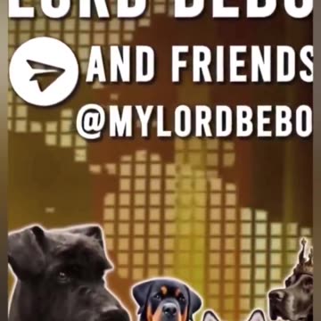 🏴󠁧󠁢󠁥󠁮󠁧󠁿"We've officially taken control of the country. England is FINISHED" — Muslim migrant