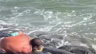 This man saved a turtle stuck in the rocks