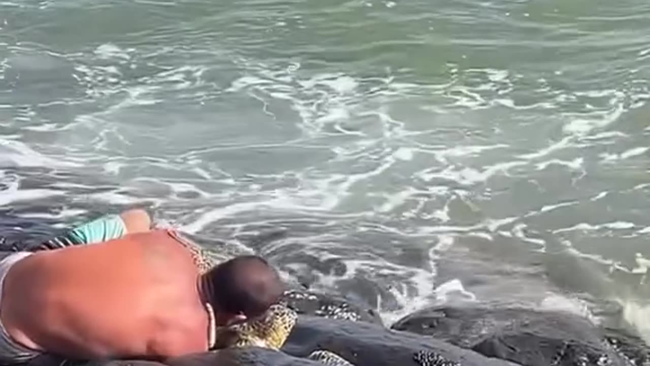 This man saved a turtle stuck in the rocks