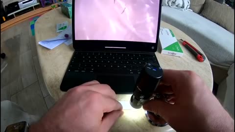 Parasites are in the PCR Test Swab...