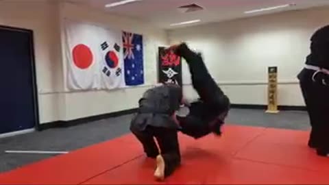 Hapkido