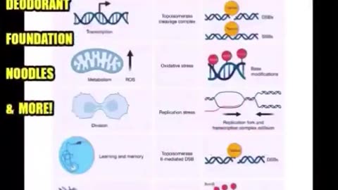 The Vitamin Psyop - How Big Pharma Tricked You Into Thinking You Need Vitamins