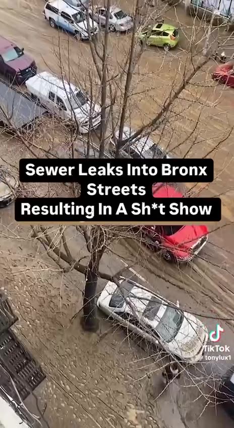 Sh*t Show | Bronx