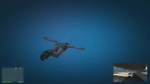 Spawned in water and can't get up. Cayo Perico is wet GTA glitch