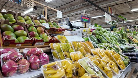 KaraBand Trip To MN Jan 2025