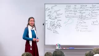 Barbara O'Neil - #28 - Remedying Digestive System