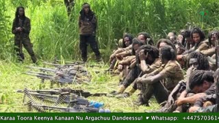 Gabaasa Tarkaanfii ONM-ABO Sadaasa 24-2025 itti dhiyaadhaa!