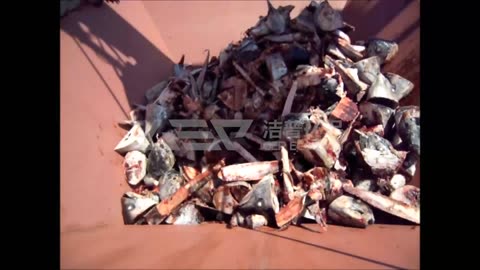 Shredding FROZEN FISH? See Our Double Shaft Shredder in Action!