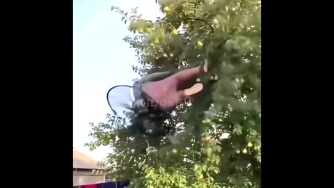 Adventures of flying granny