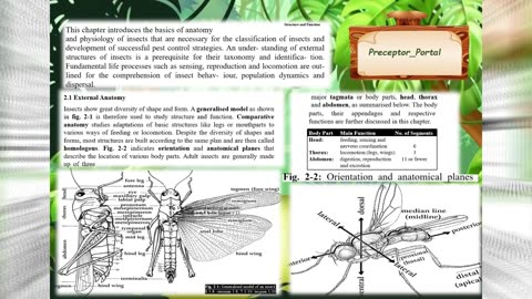 Exploring the Anatomy of Insects A Fascinating Journey! 🦋🔍