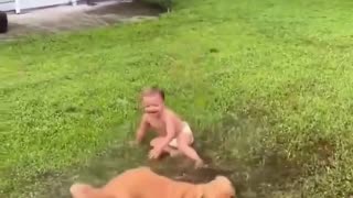 😂🐶 Laughing Dog & Kid: Puddle Fun! | FunFM