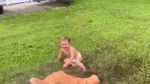 😂🐶 Laughing Dog & Kid: Puddle Fun! | FunFM