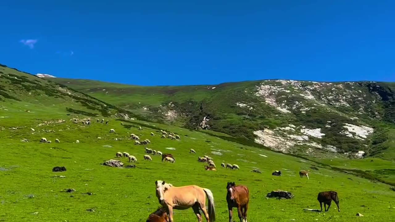 Very nice place here | Most Beautiful beautiful views here