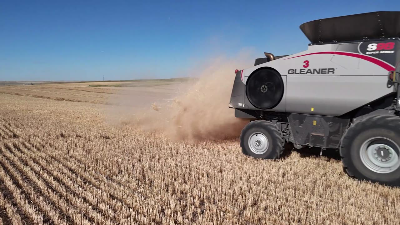 2024 Winter Wheat Harvest