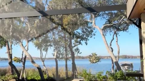 Grypa/C-19, odra itd... Co dobry lekarz zrobić powinien