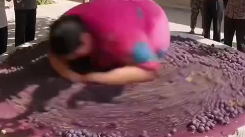 funny videos