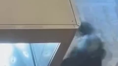 Newly released video of the Louvre heist back in October, reveals new details