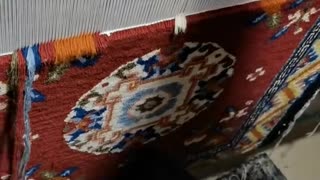 😮🔧 Watch These Tools In Action! | FeedMyCuriosity