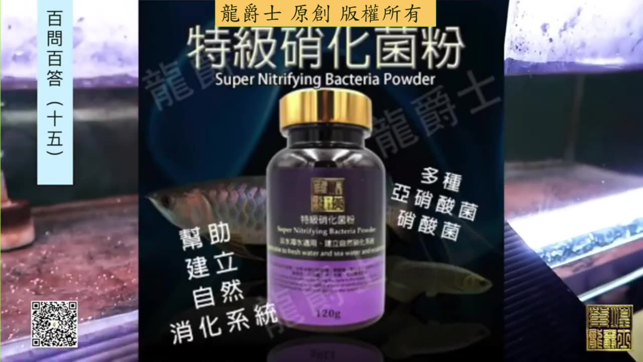 【龍爵士】千問千答 Q162 地下水要加硝化菌嗎