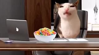 Is This Your Typical Day?