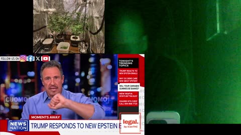 bans will make hemp dance