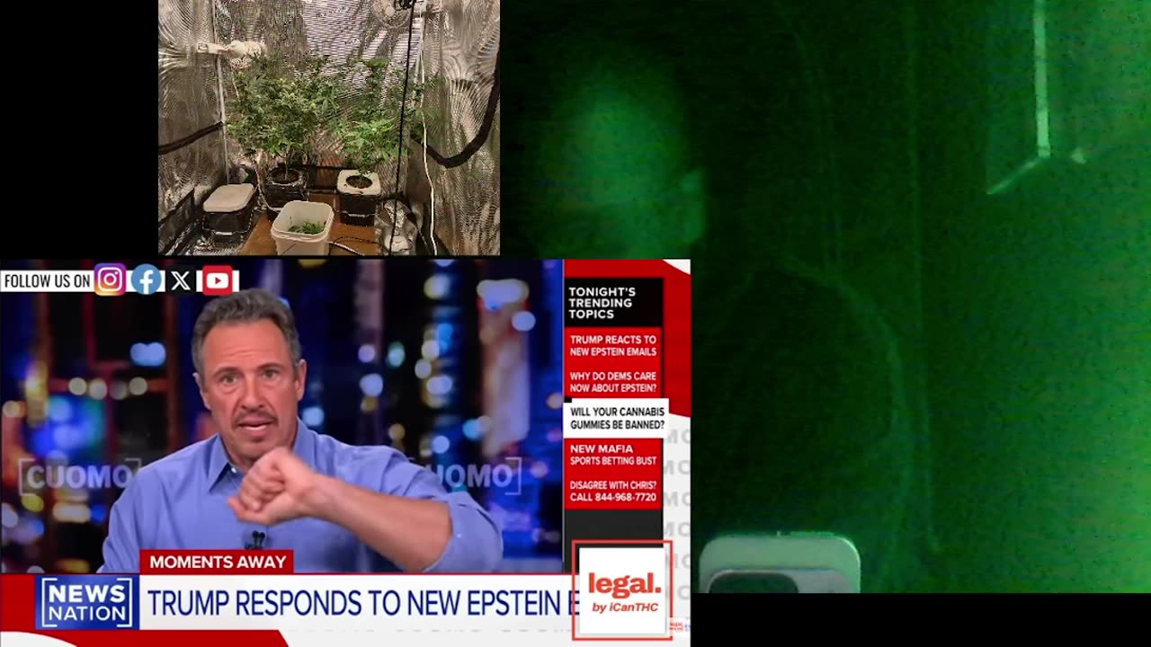 bans will make hemp dance