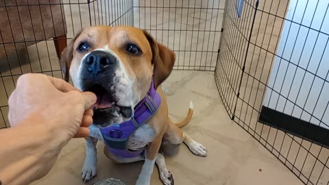 VID_20251102_142906798