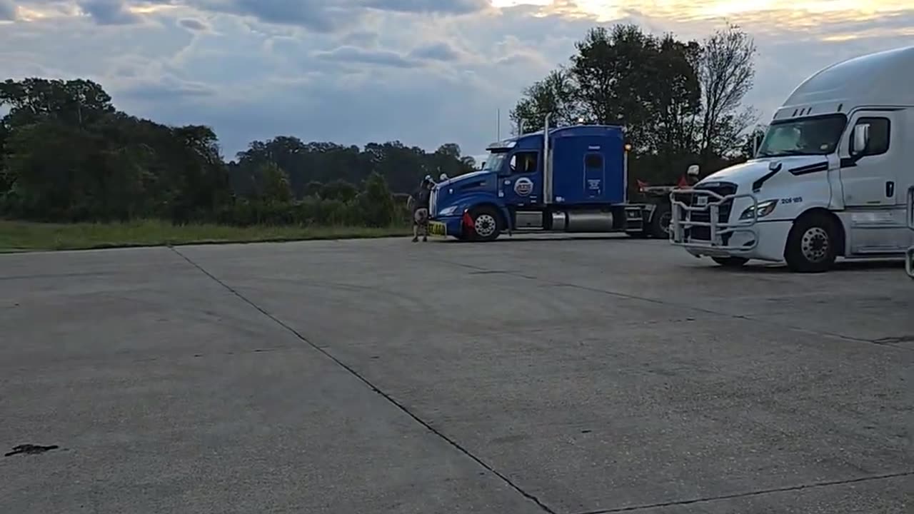 MIGHT OUTTA READ THE PERMITS #truckesvlogs #truckdriver #ourtruckinglife #trucking #longhaultrucker