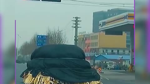 Out of Control and Out of Options — A Driver’s Worst Nightmare