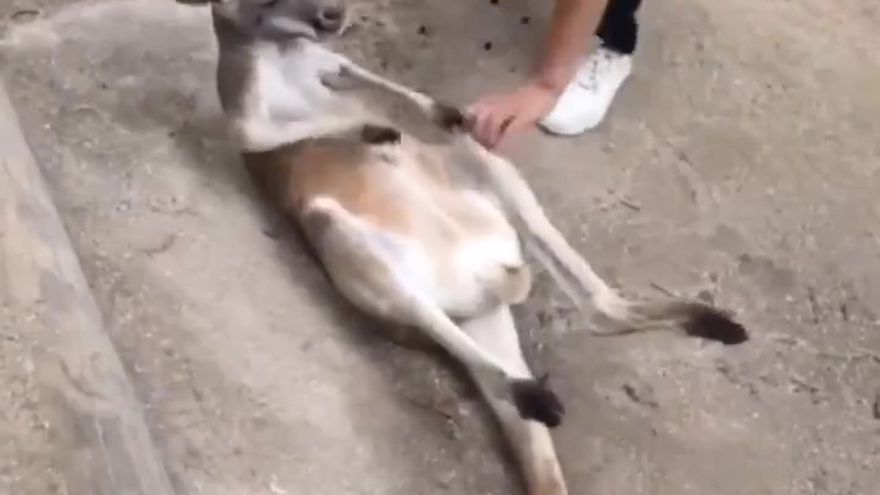 please don't stop..😂