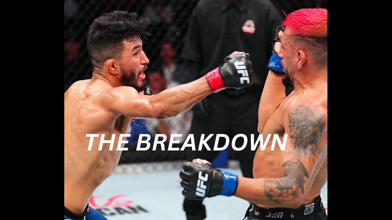 ADRIAN YANEZ VS DANIEL MARCOS BREAKDOWN