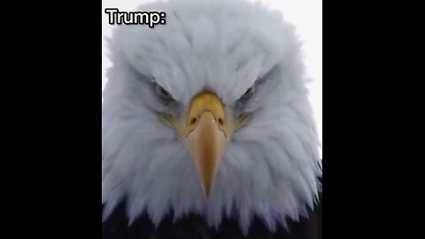 Maduro dares Trump live: “Come for me. I’m right here waiting, you coward!” [Flokossama]