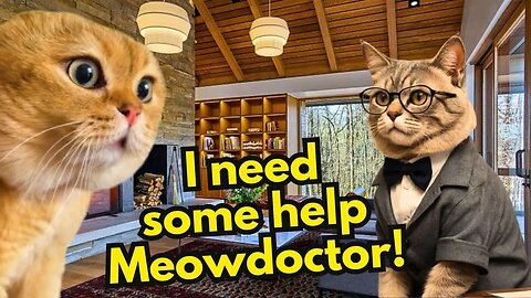 When a Cat with Self Esteem problems goes to a therapy (Ep.46)